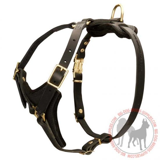 leather leashes for large dogs