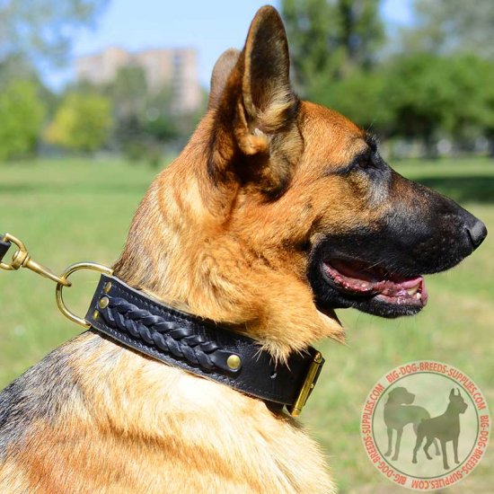 wide dog collars for german shepherds