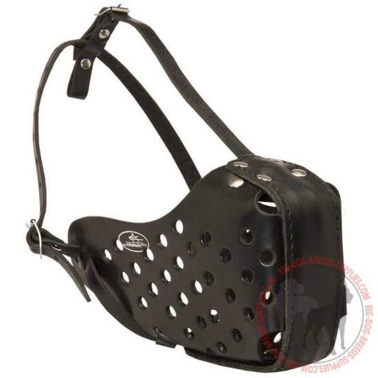 Buy Durable Ventilated Leather Dog Muzzle | Agitation Attack Training