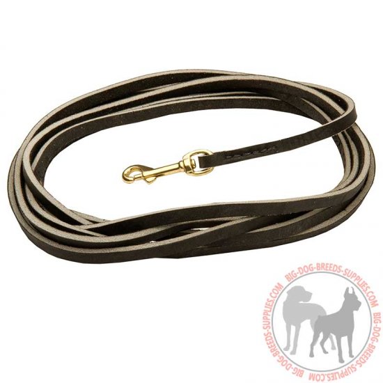 leather tracking leash