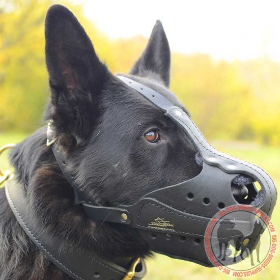 german shepherd muzzle
