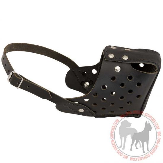 heavy duty dog muzzle