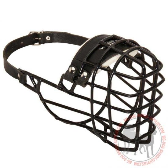 wire basket dog muzzle
