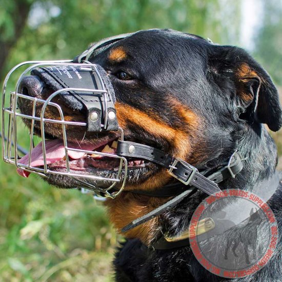 Basket Wire Dog Muzzle | Rottweiler Breed | Walking or Training