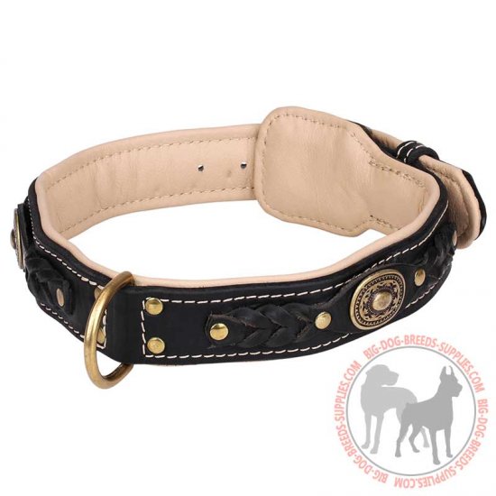 big dog collars and leashes