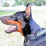Nylon Doberman Collar with ID Patches  Nylon Doberman Collar with ID Patches