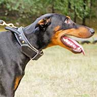 https://www.big-dog-breeds-supplies.com/images/Doberman-Leather-Dog-Collar-With-Handle-C33.jpg