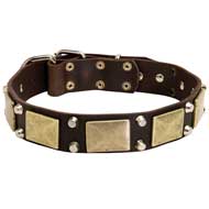 Dog Collar With Decoration Of Brass Plates And Cones  Dog Collar With Decoration Of Brass Plates And Cones