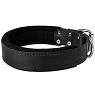 Attack Training Leather Dog Collar with Inner Padding  Attack Training Leather Dog Collar with Inner Padding