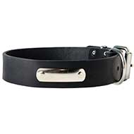 Identification Leather Dog Collar for Walking and Training  Identification Leather Dog Collar for Walking and Training