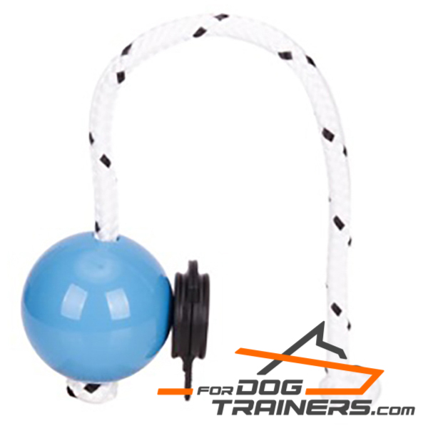 Dog ball on rope for training