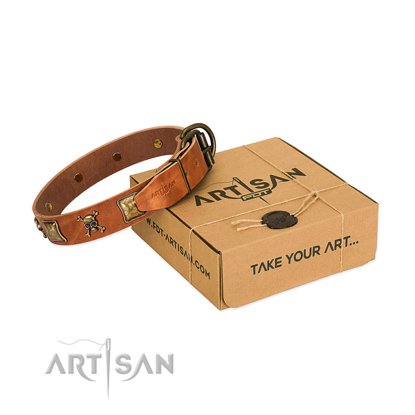 Fashionable full grain genuine leather dog collar with rust resistant embellishments