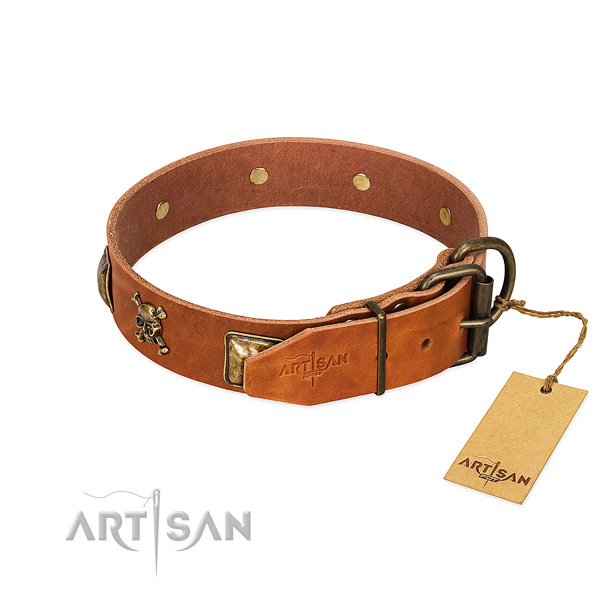 Stylish leather dog collar with corrosion resistant studs