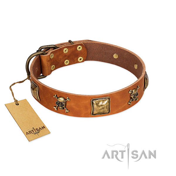 Incredible full grain genuine leather dog collar with rust resistant studs