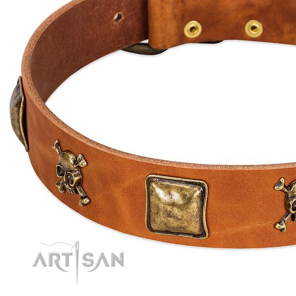 Incredible full grain genuine leather dog collar with strong embellishments