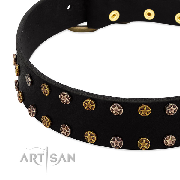 Impressive adornments on full grain natural leather collar for your canine