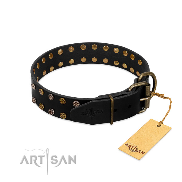 Natural leather collar with stylish studs for your four-legged friend