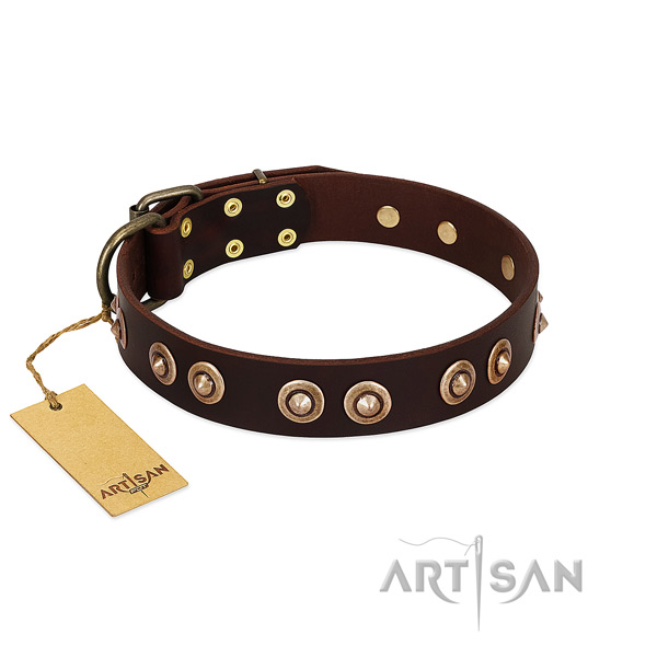 Corrosion proof D-ring on full grain leather dog collar for your canine