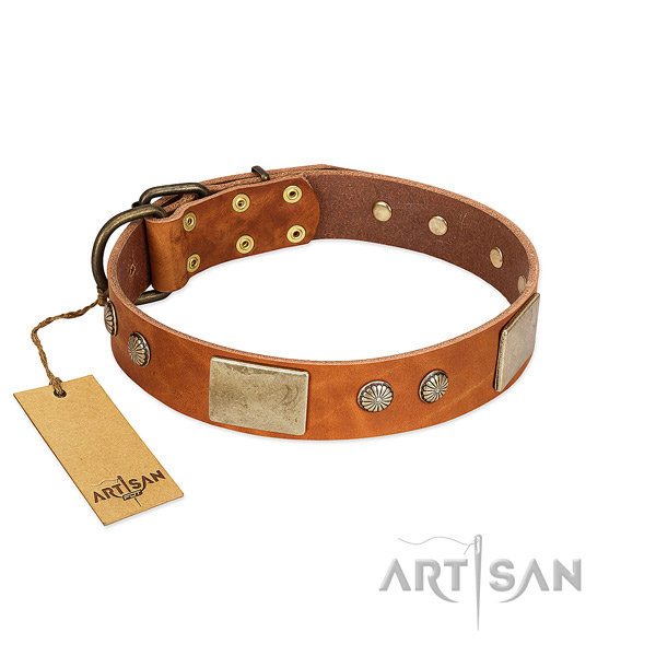 Adjustable natural genuine leather dog collar for walking your dog