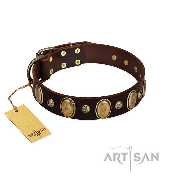Full grain genuine leather dog collar of best quality material with fashionable embellishments