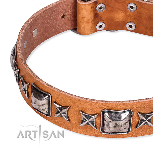 Comfortable wearing studded dog collar of fine quality full grain genuine leather