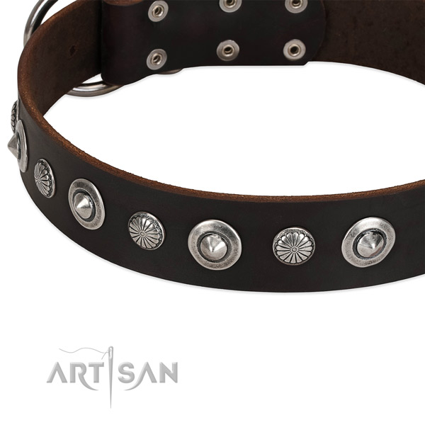 Fashionable studded dog collar of top notch genuine leather