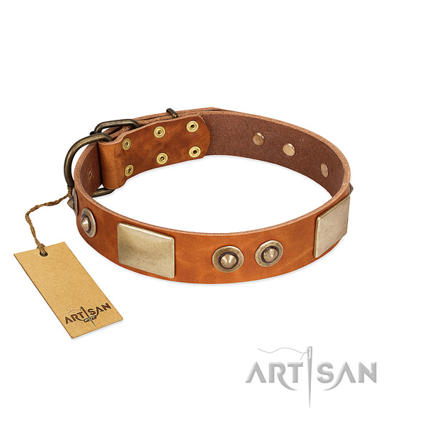 Easy wearing full grain leather dog collar for everyday walking your four-legged friend