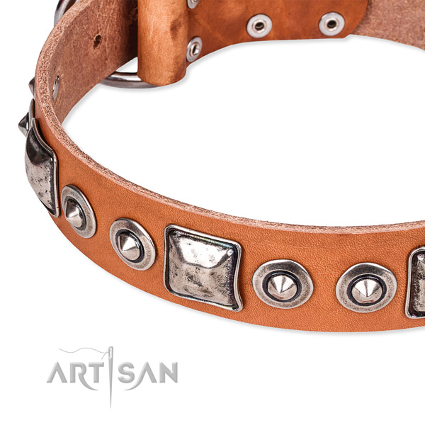 Strong genuine leather dog collar handcrafted for your beautiful pet
