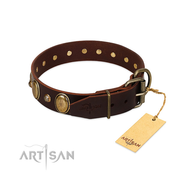 Corrosion resistant hardware on full grain leather collar for stylish walking your pet