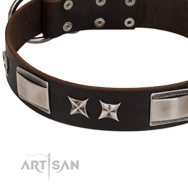 Top rate leather dog collar with durable hardware