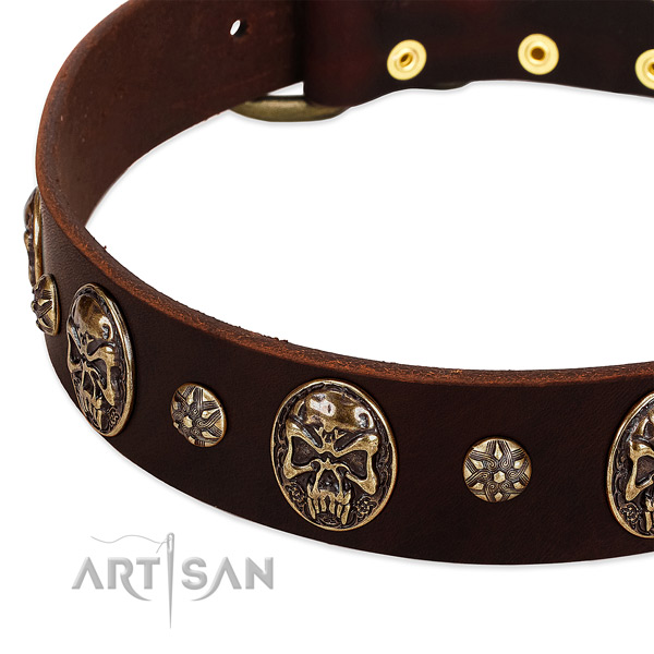 Corrosion proof adornments on genuine leather dog collar for your four-legged friend