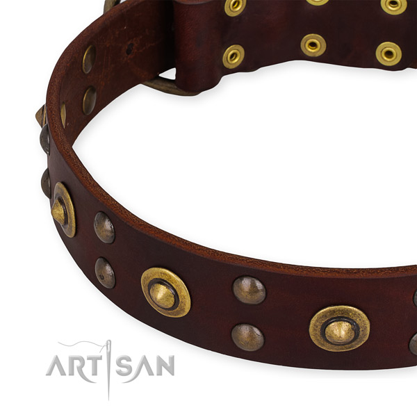 Genuine leather collar with rust resistant fittings for your impressive doggie