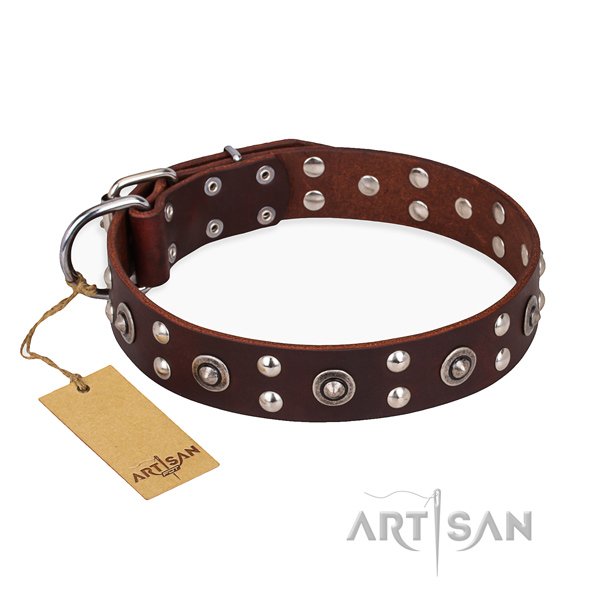 Daily walking easy to adjust dog collar with corrosion resistant hardware