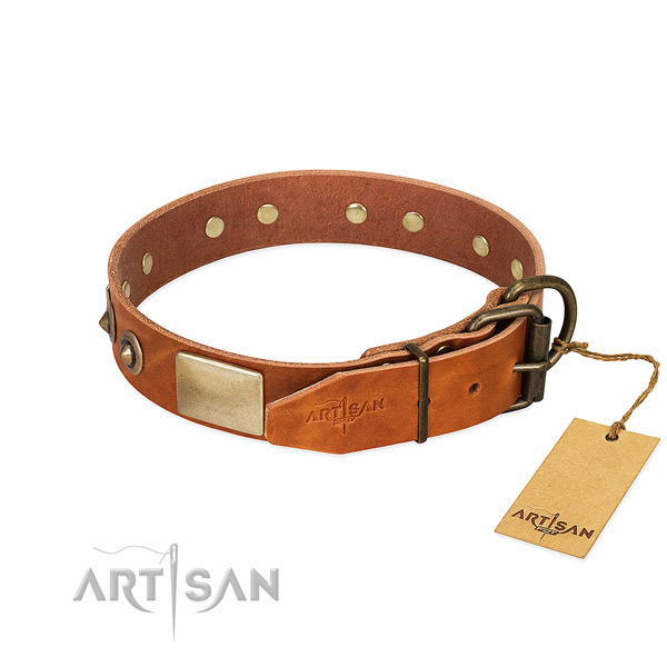 Durable adornments on everyday walking dog collar