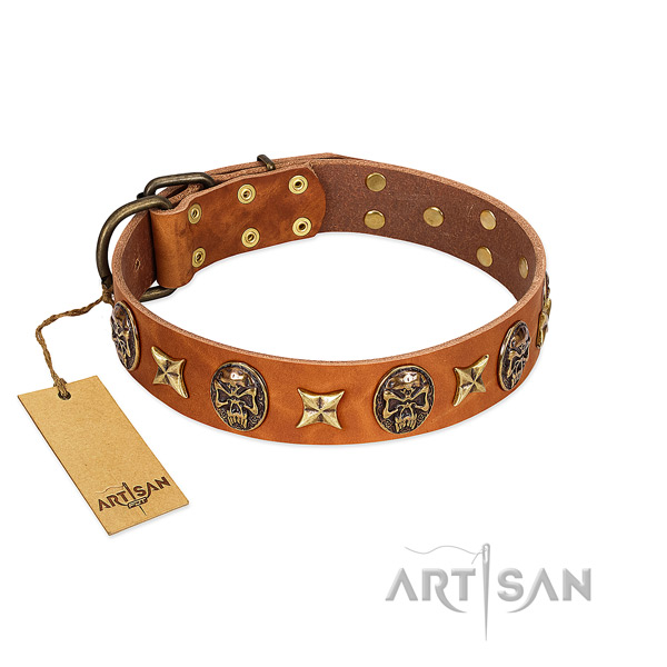 Extraordinary natural genuine leather collar for your pet