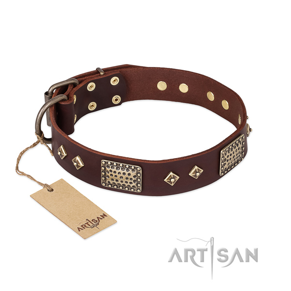 Amazing leather dog collar for walking