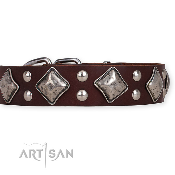 Natural leather dog collar with exquisite rust resistant studs