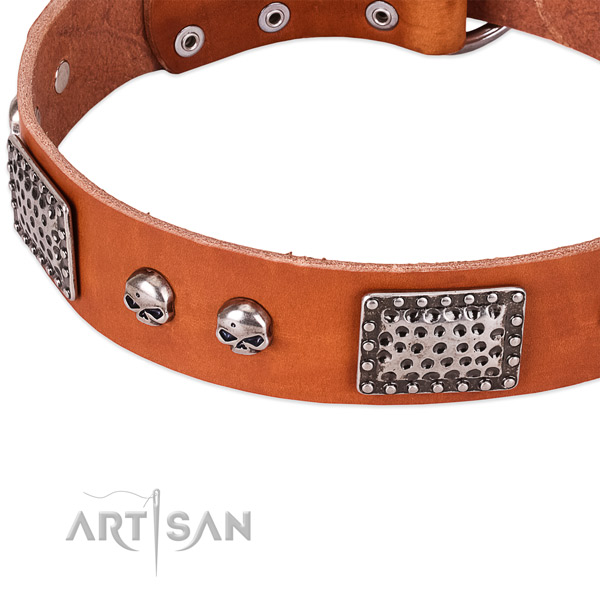 Strong studs on natural genuine leather dog collar for your canine