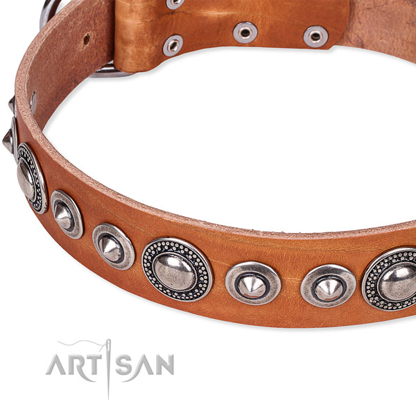 Daily walking decorated dog collar of fine quality full grain genuine leather