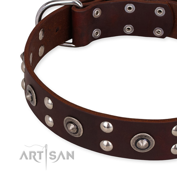 Leather collar with corrosion resistant fittings for your attractive pet