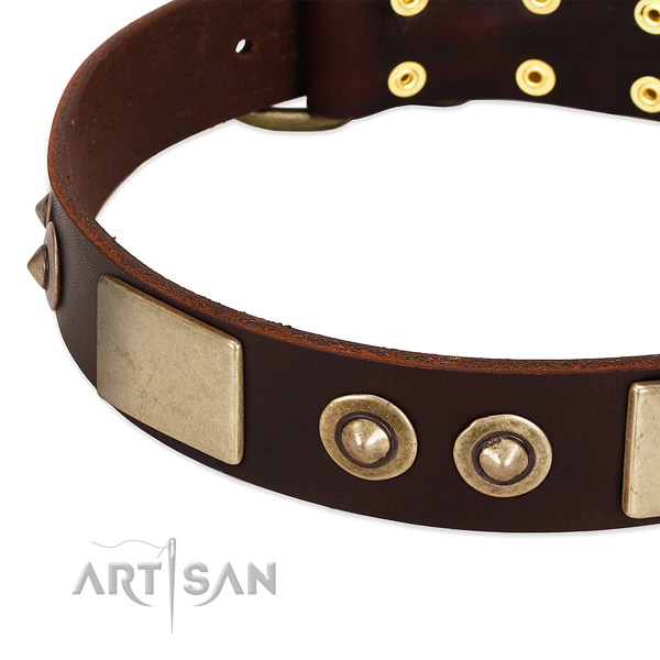 Strong D-ring on genuine leather dog collar for your dog