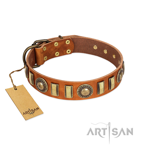 Adjustable full grain leather dog collar with rust resistant D-ring