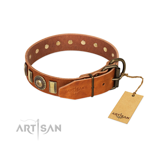 Adorned genuine leather dog collar with strong fittings