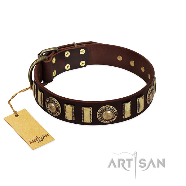 Top rate genuine leather dog collar with corrosion proof hardware