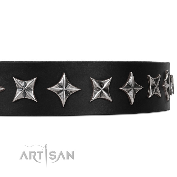 Stylish walking studded dog collar of reliable natural leather