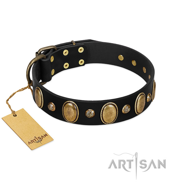 Full grain leather dog collar of reliable material with impressive adornments