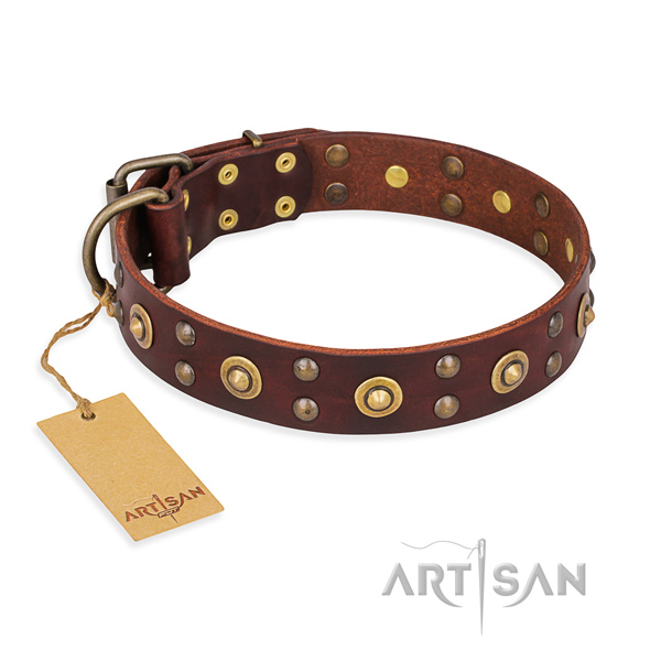 Top quality leather dog collar with reliable hardware