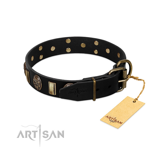 Full grain genuine leather dog collar with corrosion proof fittings and embellishments