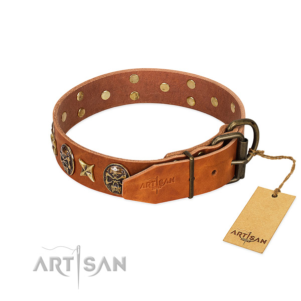 Full grain leather dog collar with durable fittings and adornments