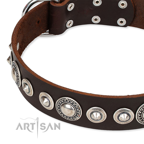 Fancy walking decorated dog collar of fine quality full grain genuine leather